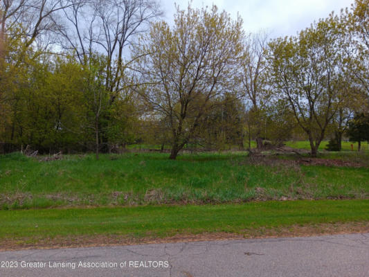 00 W RIVERVIEW DRIVE, PERRY, MI 48872 - Image 1